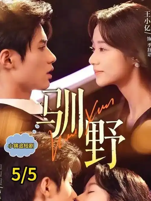 最后一炉 人文纪录片 高清在线观看